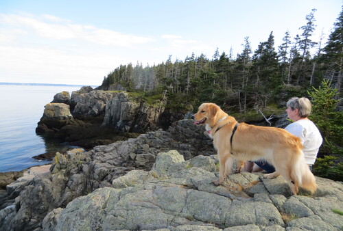 West Quoddy State Park hike